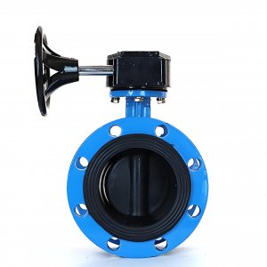 法蘭式蝸輪蝸桿蝶閥DN125，1.6Mpa橡膠密封