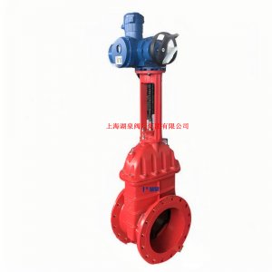 Z943F/W/Y-16 DN80油田專用電動平板閘閥