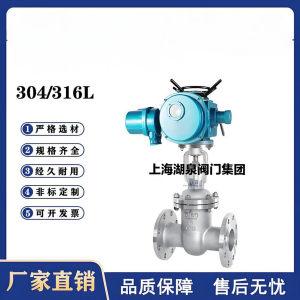 Z941W-16P，DN250，CF8/F304不銹鋼電動閘閥